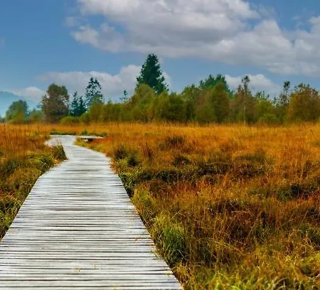 Apartmán Situe Dans La Nature Des Hautes-fagnes