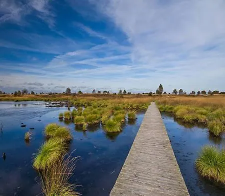 Situe Dans La Nature Des Hautes-fagnes