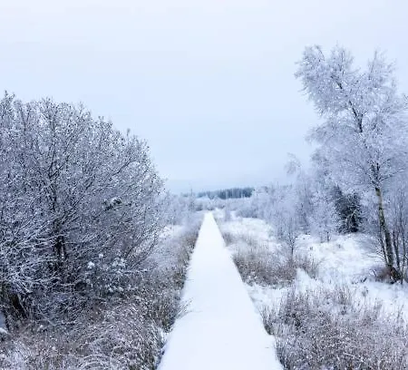 Apartmán Situe Dans La Nature Des Hautes-fagnes *