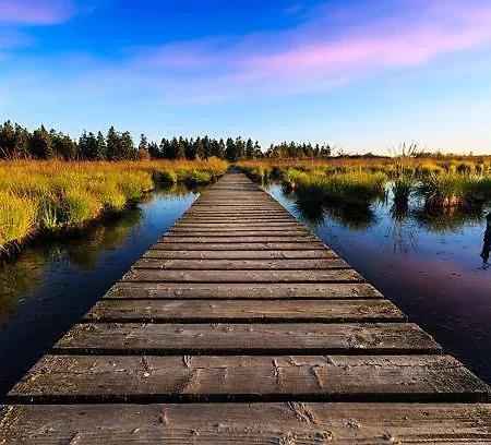 Apartmán Situe Dans La Nature Des Hautes-fagnes *